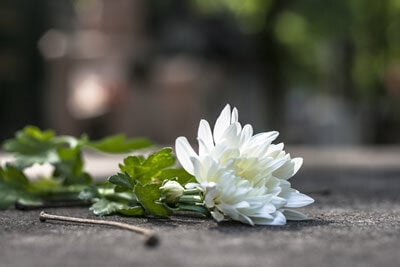 Navigating Brazilian Probate and Inheritance rules - Experts for Expats